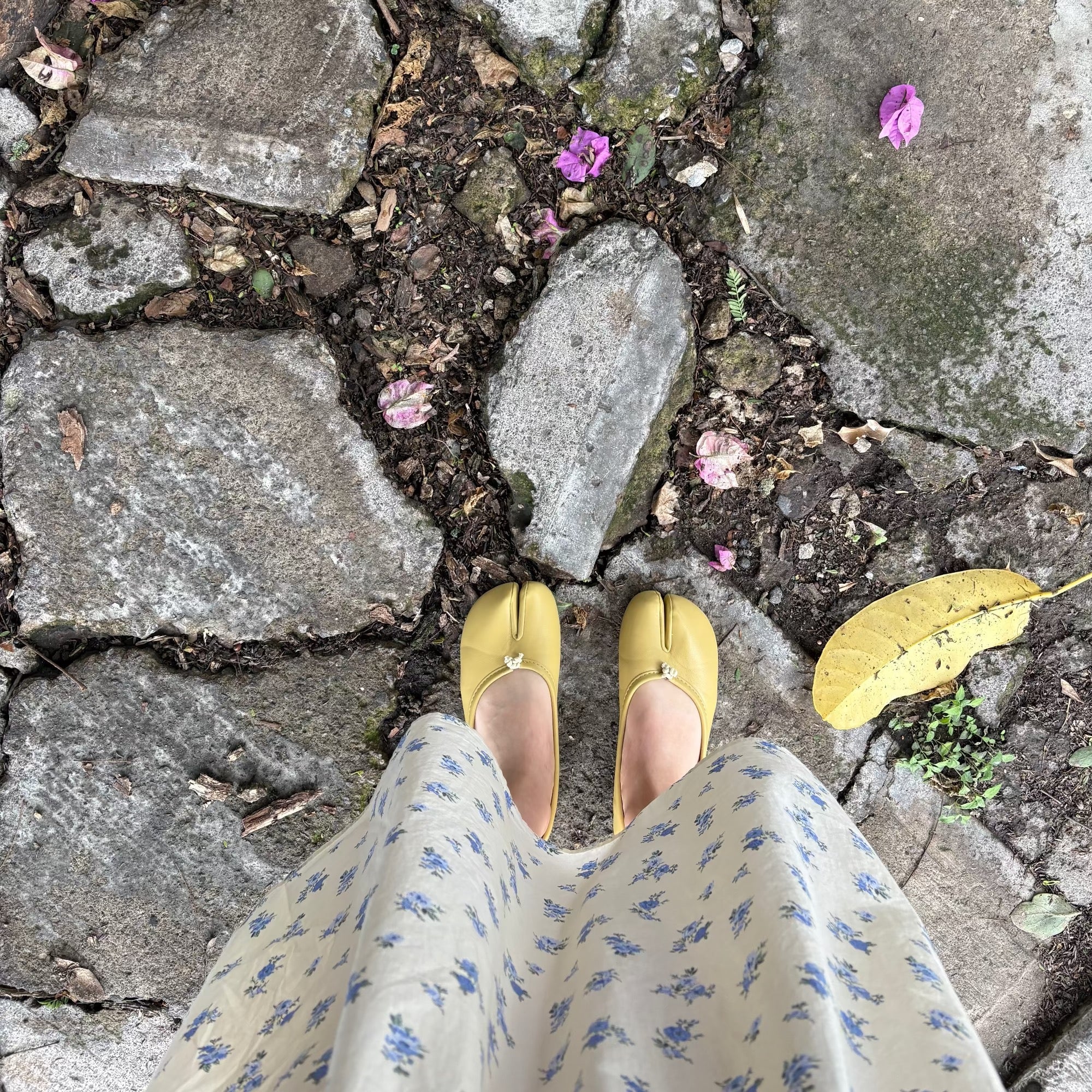 Isabella Tabi Ballet Flats